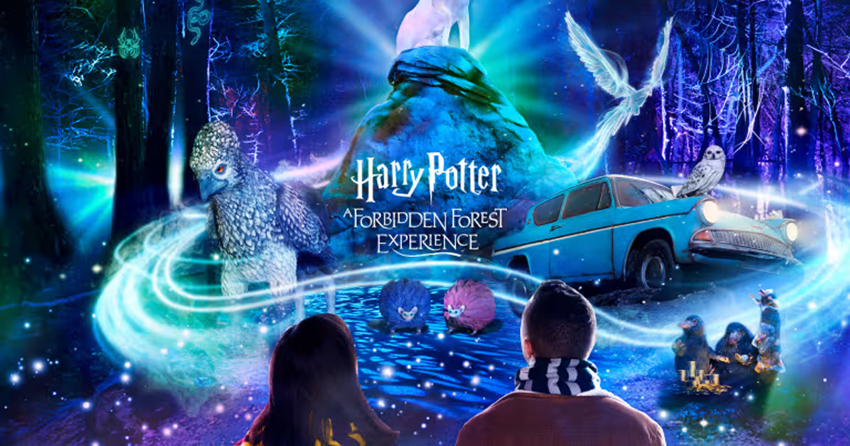 Harry Potter Forbidden Forest Experience Chicago