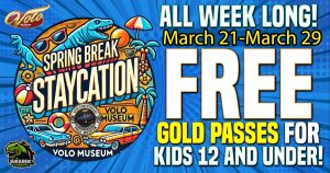 Volo Museum Spring Break Discounts Free Gold Pass
