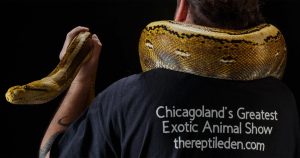 the reptile den chicago