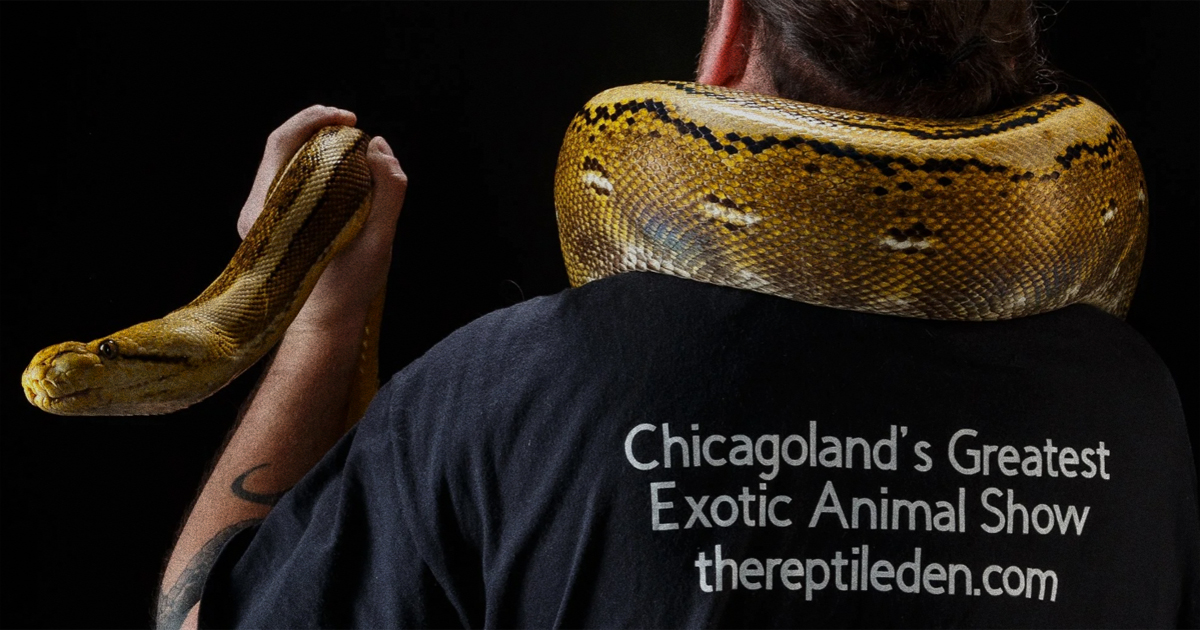 the reptile den chicago