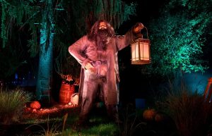 Harry Potter Forbidden Forest Experience Chicago