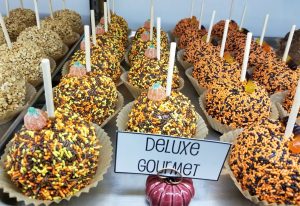 Didier Farms Happy Times Pumpkin Fest Lincolnshire Illinois