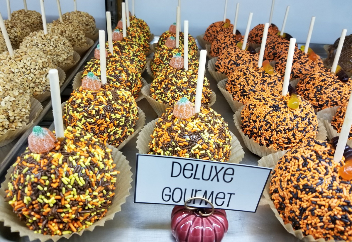 Didier Farms Happy Times Pumpkin Fest Lincolnshire Illinois