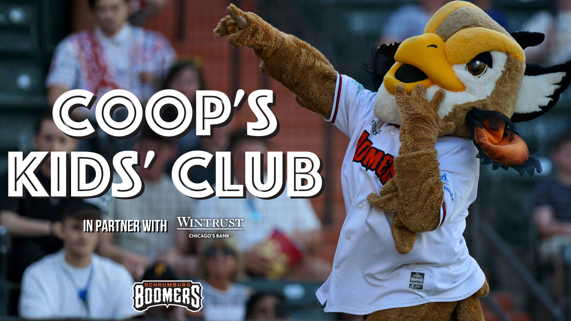 Schaumburg Boomers Cops Kids Club