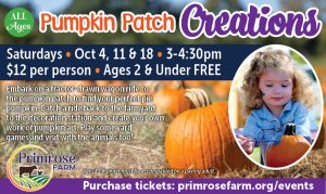 Primrose farm pumpkin painting st charles illinois