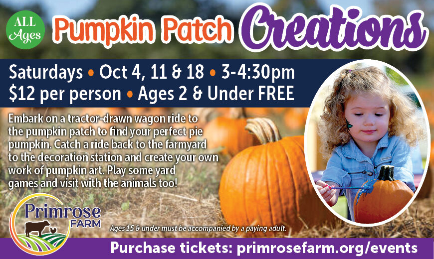 Primrose farm pumpkin painting st charles illinois