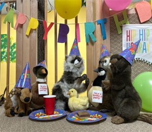 Discovery Center Museum Rockford Parties Rentals