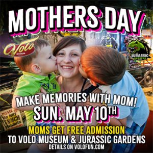 Volo Museum Jurassic Gardens Mothers Day Discount Tickets