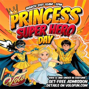 Volo Museum Princess Super Hero Day