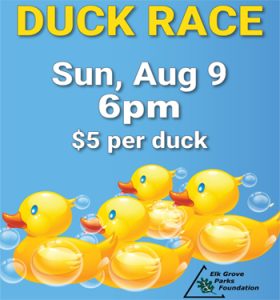 Rainbow Falls Waterpark Elk Grove Village Duck Races