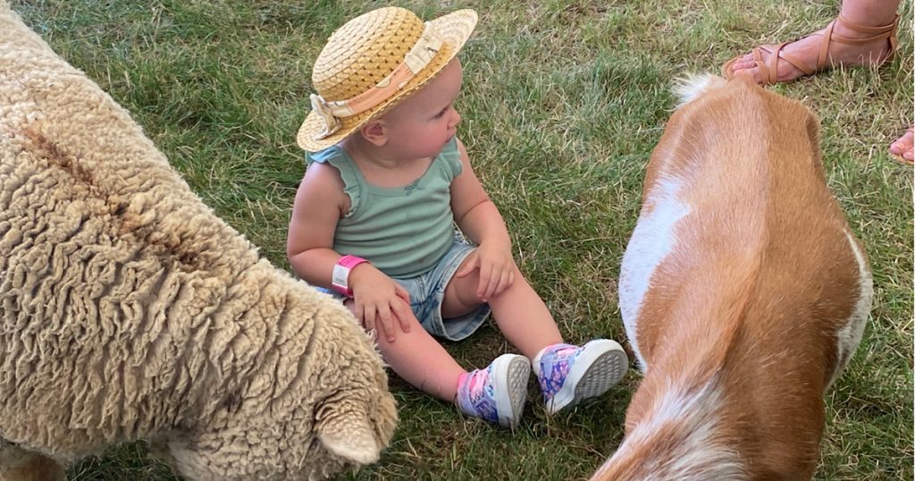 A Zoo To You Mobile Petting Zoo Discount Coupons Chicago Suburbs