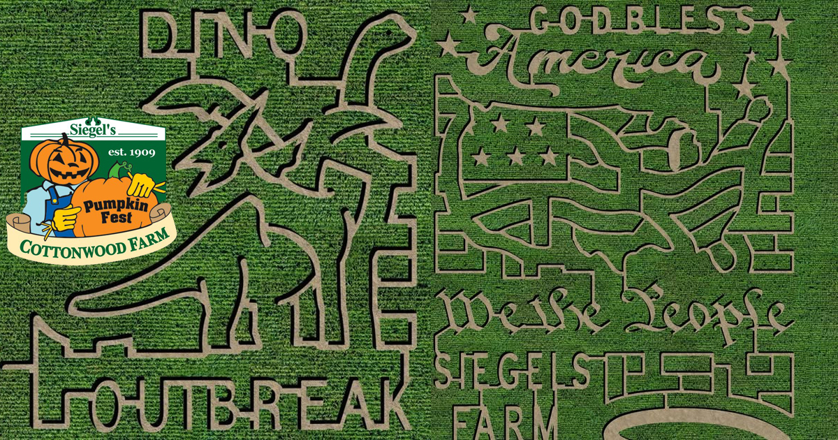 Siegels Corn Maze