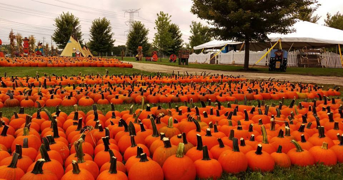 Didier Farms Happy Times Pumpkin Fest Lincolnshire Illinois
