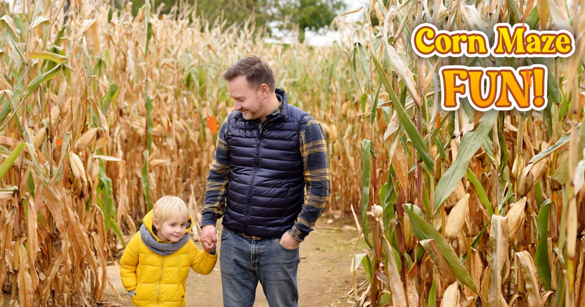 Didier Farms Happy Times Pumpkin Fest Lincolnshire Illinois