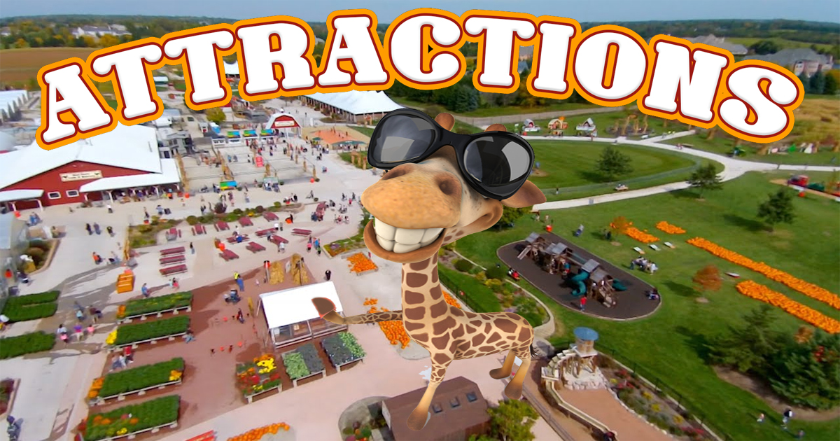 Goebberts Fall Attractions