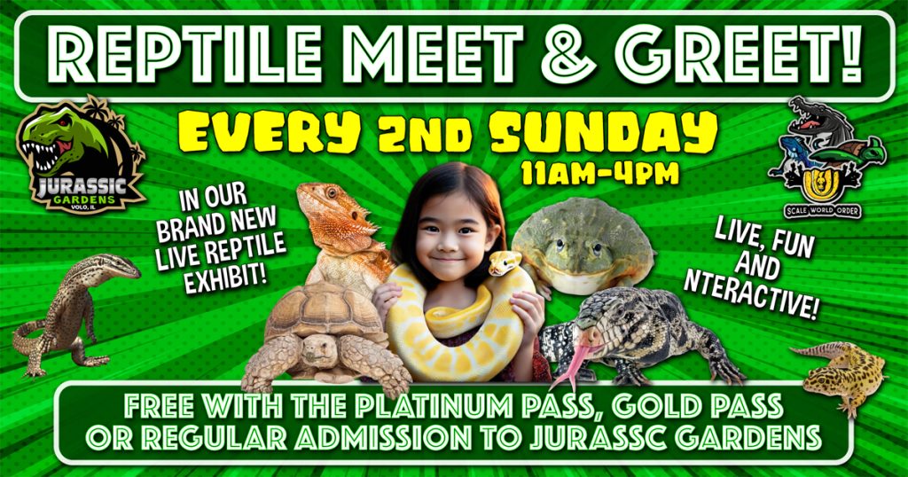 Jurassic Gardens Volo Museum live reptile show