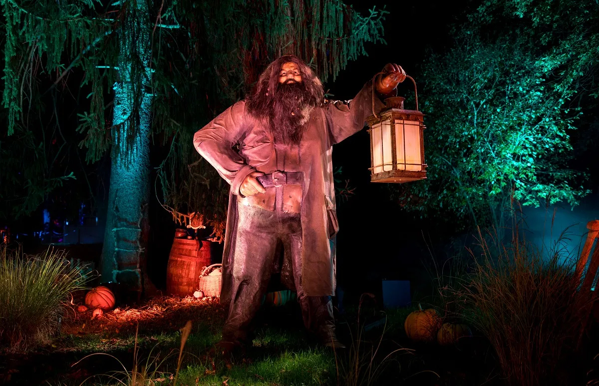 Harry Potter Forbidden Forest Experience Chicago