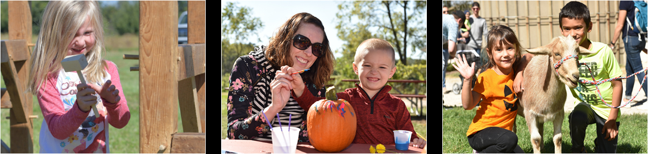 primrose farm pumpkin art st charles