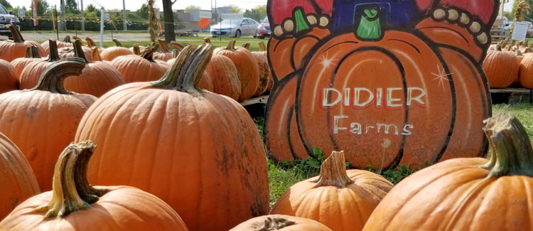 Didier Farms Pumpkin Patch
