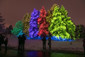Morton Arboretum Illuminations Light Show