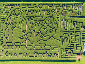 Jonamac Corn Maze