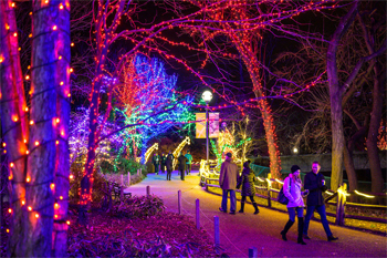 Lincoln Park Zoo Holiday Christmas Lights