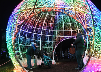 Brookfield Zoo Lights Holiday Magic