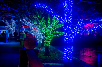 Brookfield Zoo Lights