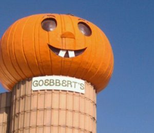 Goebberts Pumpkin Farm South Barrington