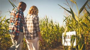 Jonamac Orchard Corn Maze