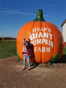 Heaps Giant Pumpkin Farm