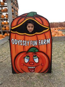 Odyssey Fun Farm Discount Tickets