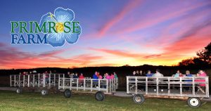 Primrose Farm Hay Rides