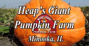 Heaps Giant Pumpkin Farm Minooka Illinois
