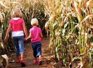 Jonamac Orchard Corn Maze