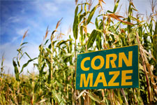 Illinois Corn Maze