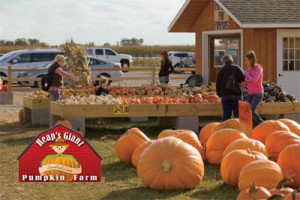 Heaps Pumpkin Farm