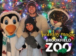 Brookfield Zoo Holiday Lights Magic