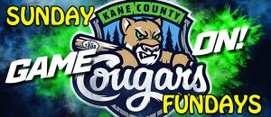 Kane County Cougars Kids Zone